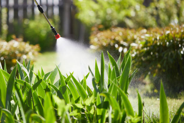 24/7 Emergency Termite Control experts in Grant, NE